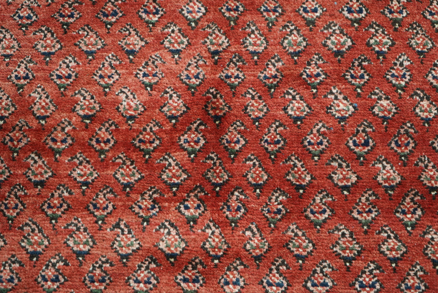 Vintage Persian Sarouk Red Wool Rug | Handmade | 322 x 218 cm
