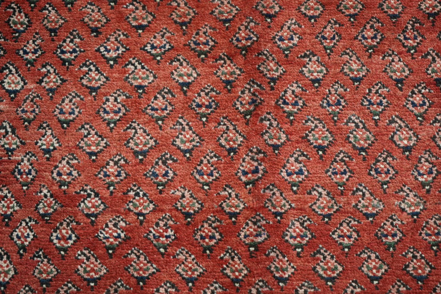 Vintage Persian Sarouk Red Wool Rug | Handmade | 322 x 218 cm