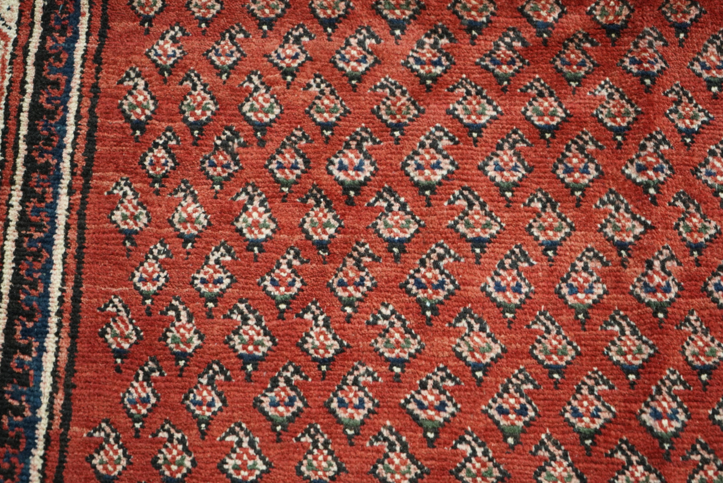 Vintage Persian Sarouk Red Wool Rug | Handmade | 322 x 218 cm