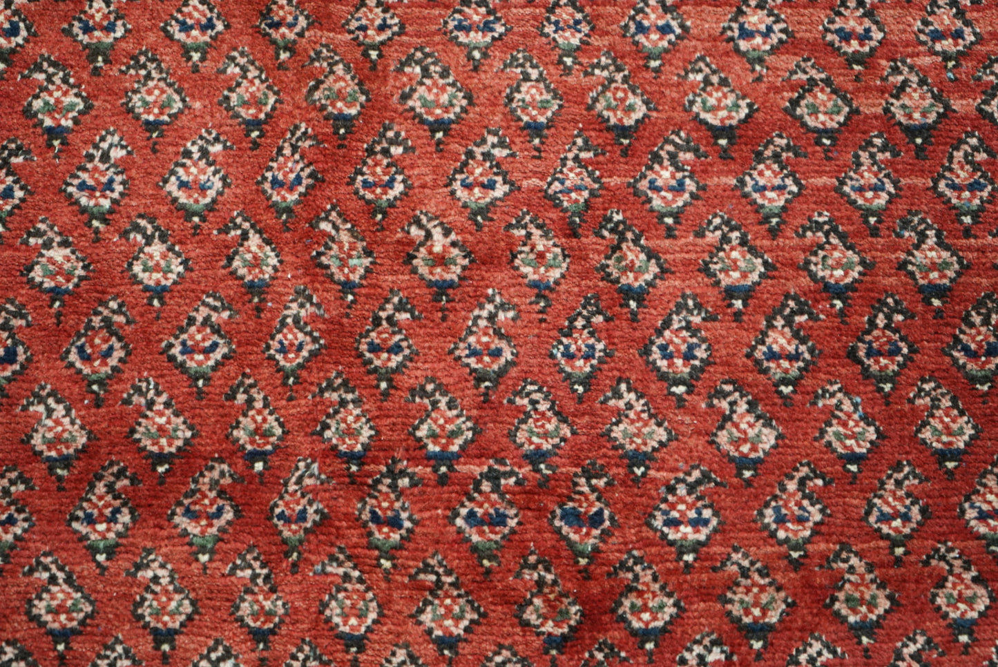 Vintage Persian Sarouk Red Wool Rug | Handmade | 322 x 218 cm