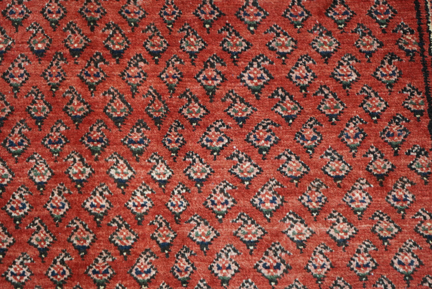 Vintage Persian Sarouk Red Wool Rug | Handmade | 322 x 218 cm