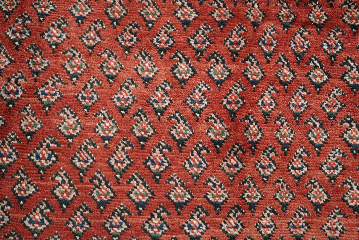 Vintage Persian Sarouk Red Wool Rug | Handmade | 322 x 218 cm